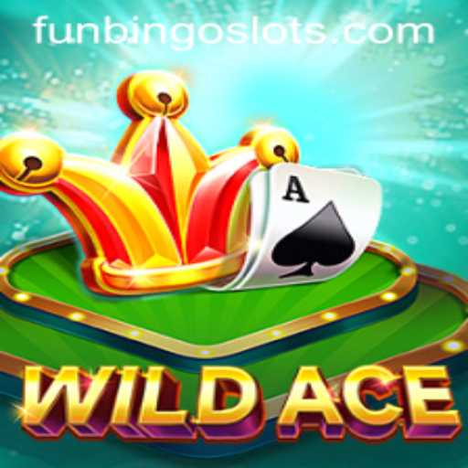 Exploring WildAce: A Revolutionary Experience with FunBingo
